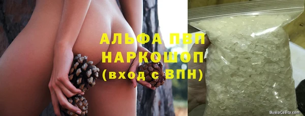 индика Богданович